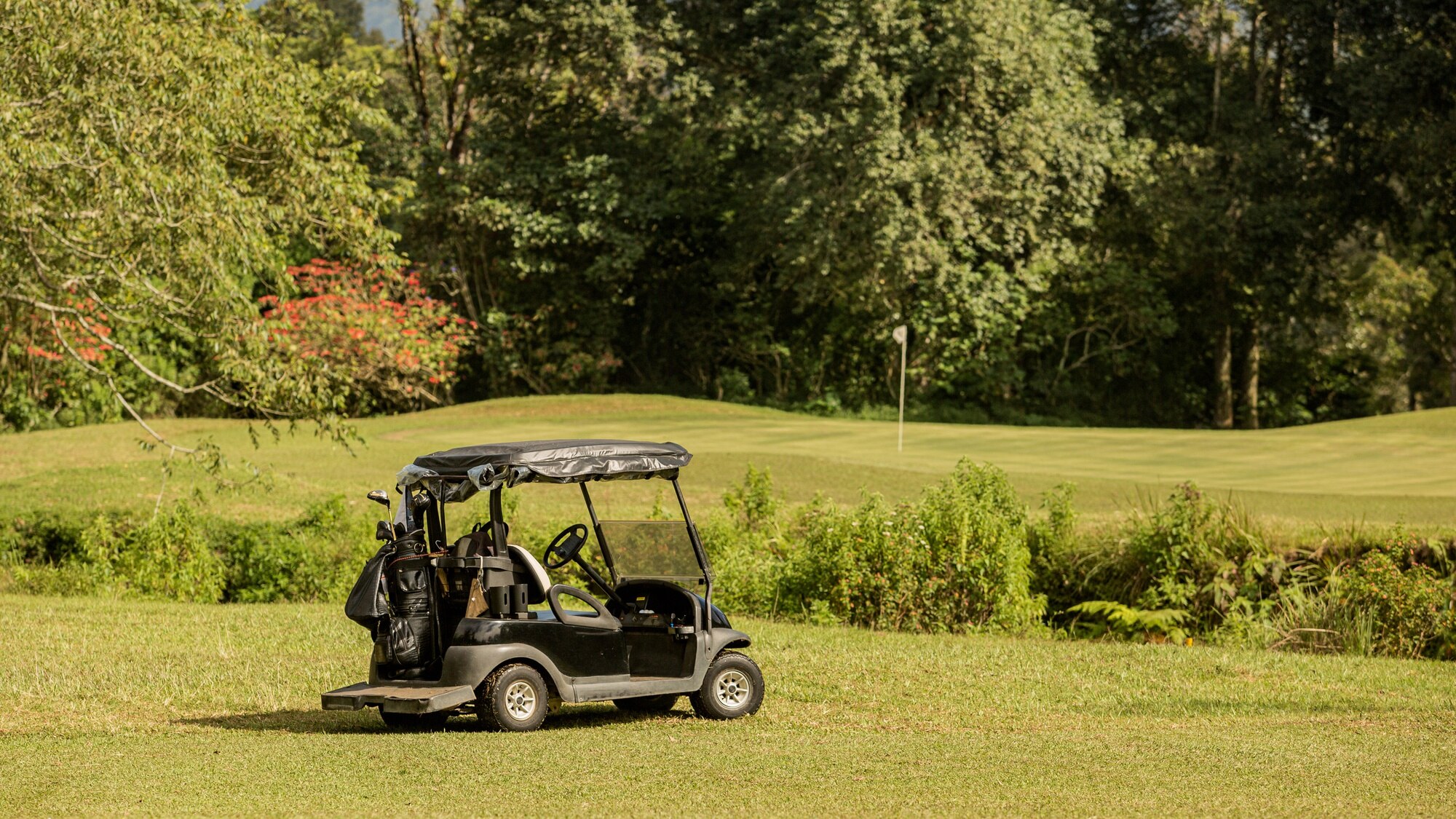 Best Golf Buggy for Seniors: What Features Matter Most?